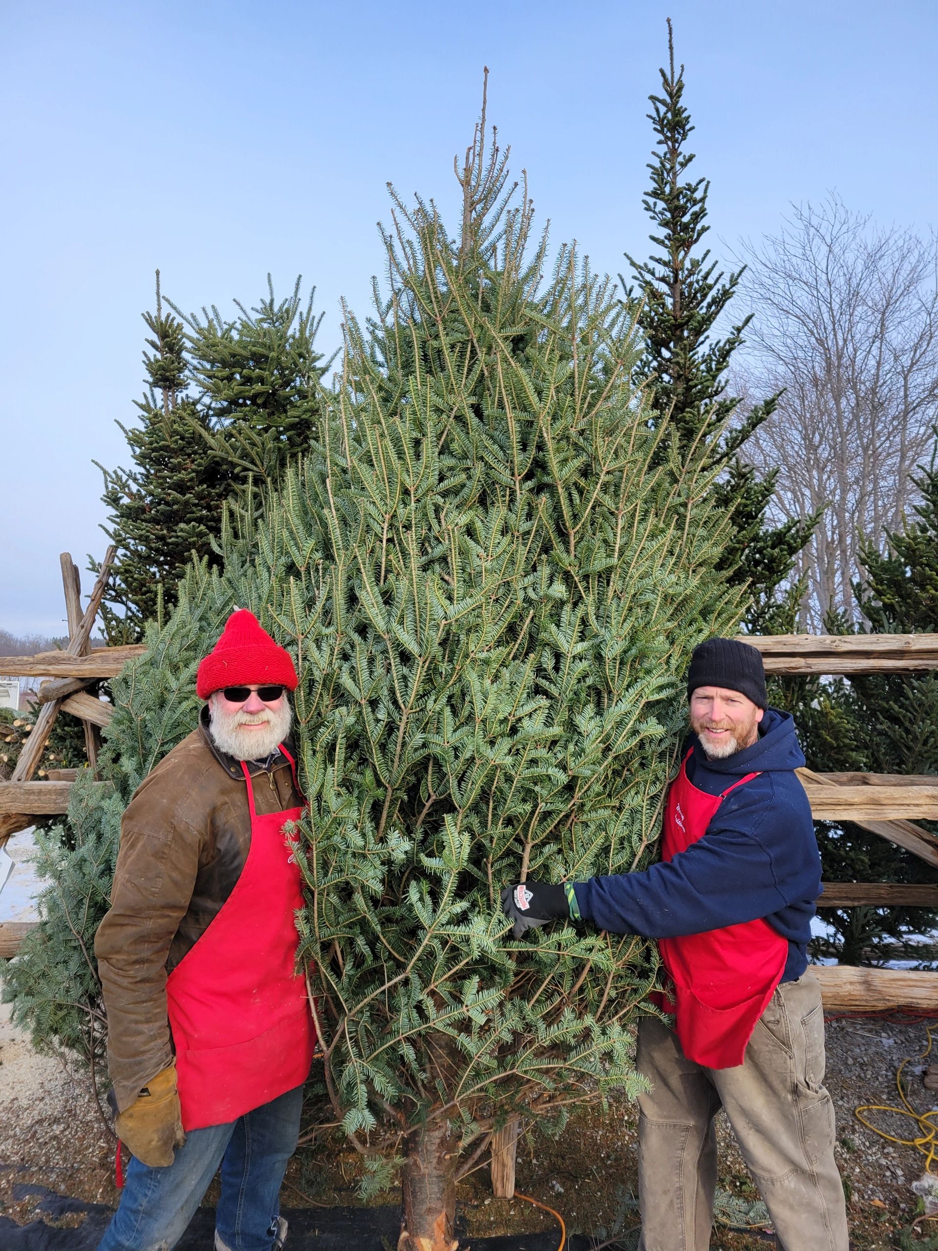 Fraser family at the Christmas tree farm